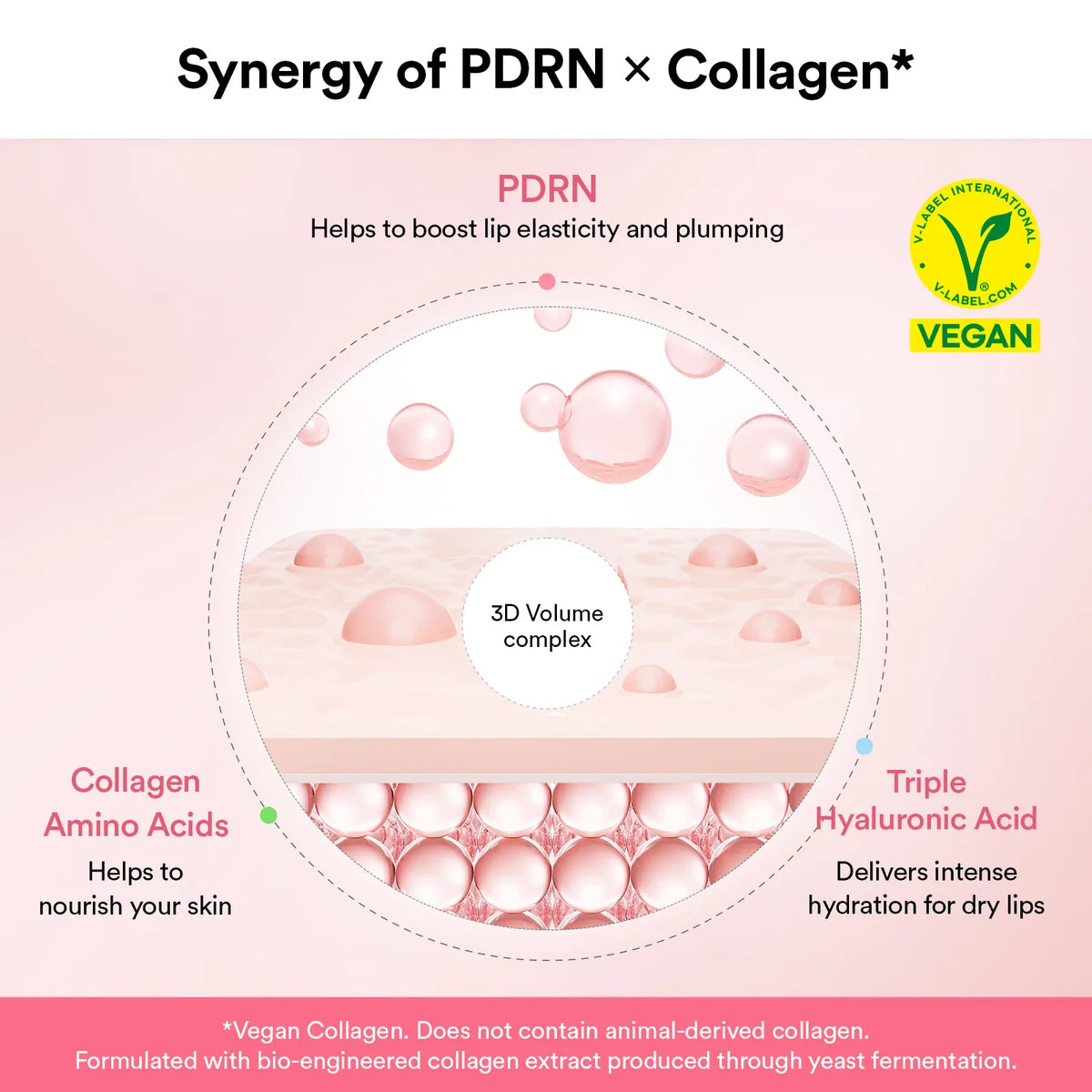 Abib PDRN Vegan Collagen lip mask Glazed jelly