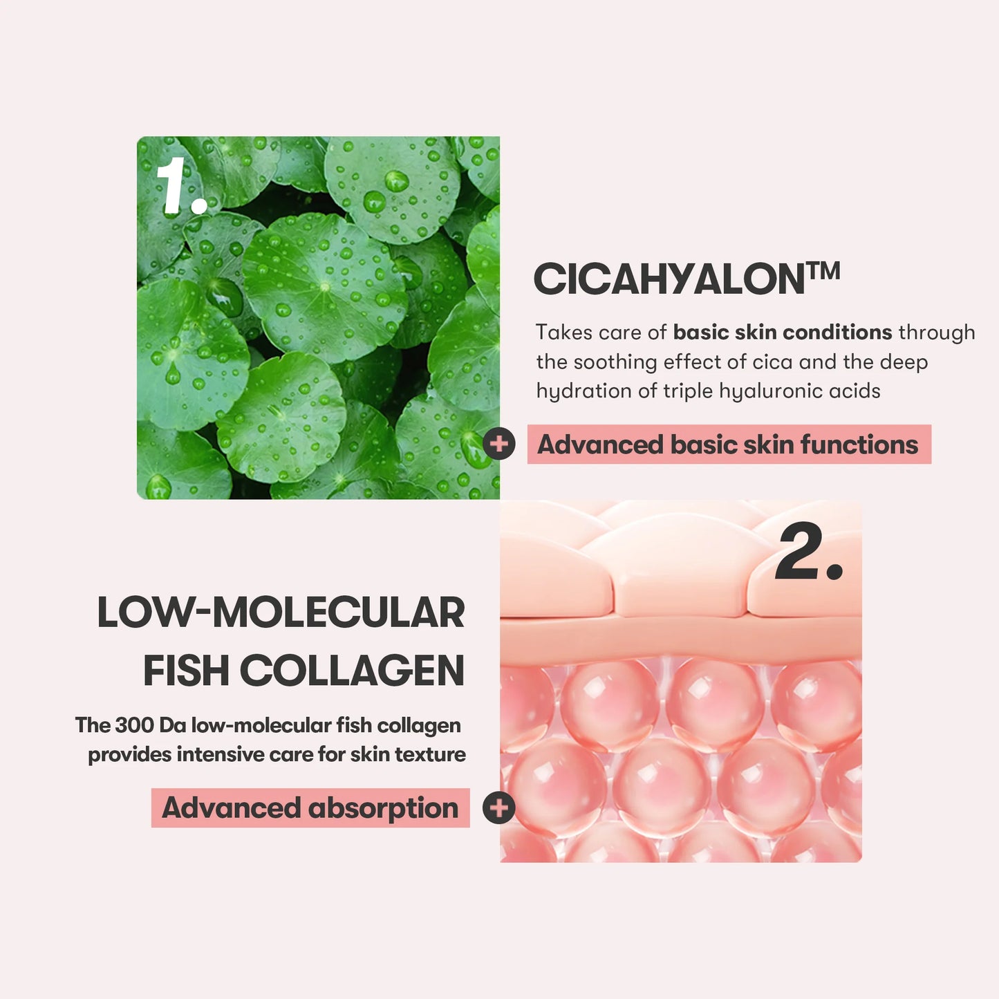 VT Cica Collagen Eye Cream